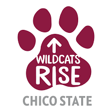 Chico State Wildcats Rise recovery fund